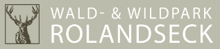 STORIIES Logo